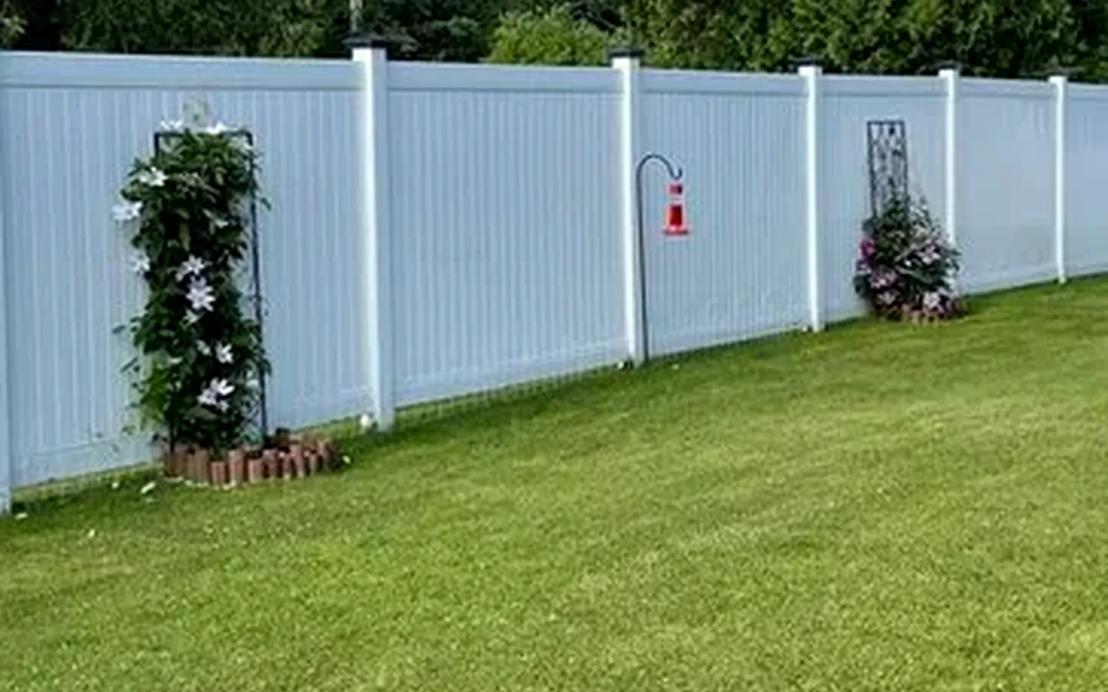 Chain Link Fences